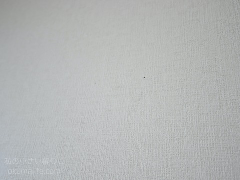 P1240592