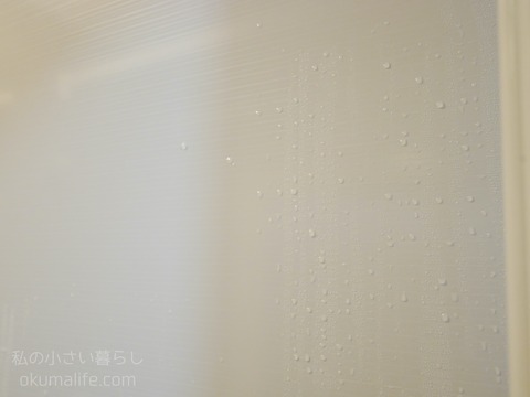 P1260601